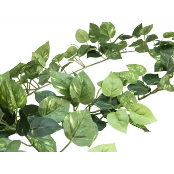 EUROPALMS Pothos Girlanda Classic, Sztuczna, 180cm 82503728