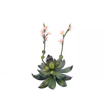 EUROPALMS Stone Rose (EVA) Sztuczna Roślina, Różowa, 32cm 82530572