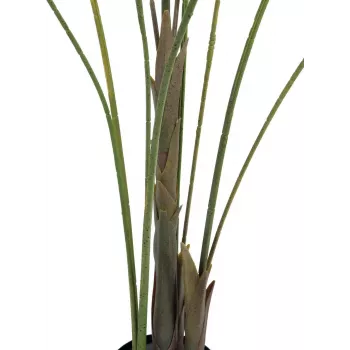 EUROPALMS Großblatt-Areca sztuczna palma areka, 185cm (82509442)