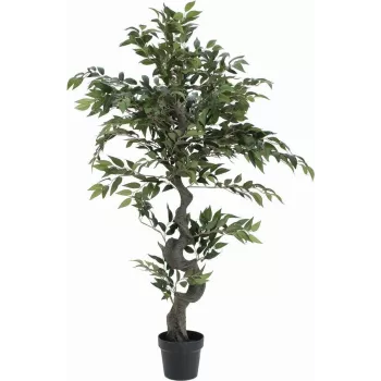 EUROPALMS Ficus Waldbaum sztuczna roślina, 110cm 82806313