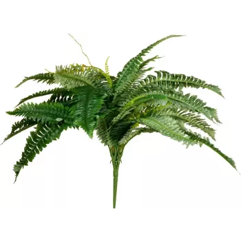 EUROPALMS Boston Fern sztuczna roślina, 53cm, zielona 82519934