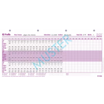 BOI BZ-Profile Formulare, 50 St. (9206-00216)