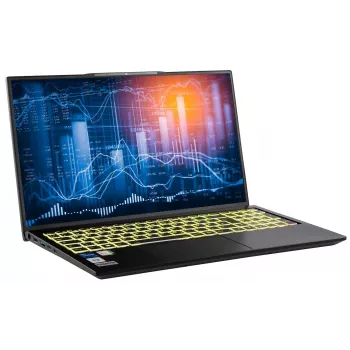 Captiva Business/Office I10-1417GE 17,3-calowy notebook - Intel Core i5-1335U, 16GB RAM, 2TB SSD, Windows 11 Pro