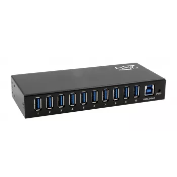 EXSYS EX-11290HMS Hub USB 3.2 Gen 1 10-portowy z zasilaczem 12V/5A