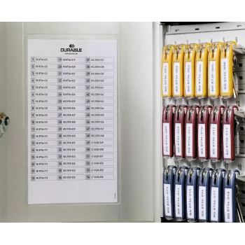DURABLE KEY BOX 18 Szafka na klucze z zamkiem bębenkowym, jasnoszara 195123