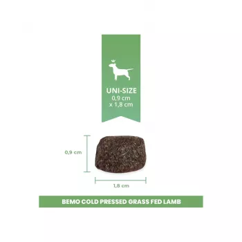 BEMO Cold Pressed Grass Fed Lamb Dry Dog Food 1kg