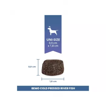 BEMO Cold Pressed River Fish Mono sucha karma dla psów 1kg