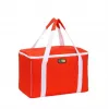 GIOSTYLE Torba termiczna Evo Square Assorted, zielona/czerwona/niebieska z dekoracją, 15 l