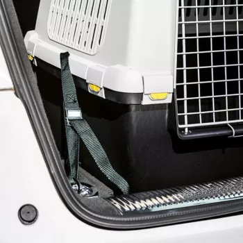 STEFANPLAST Pasy samochodowe do transportera dla zwierząt Gulliver Touring (3 szt.)