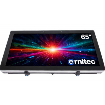 Monitor Ernitec 65 inch 24/7 4K UHD (0070-24165-HB3000-L)
