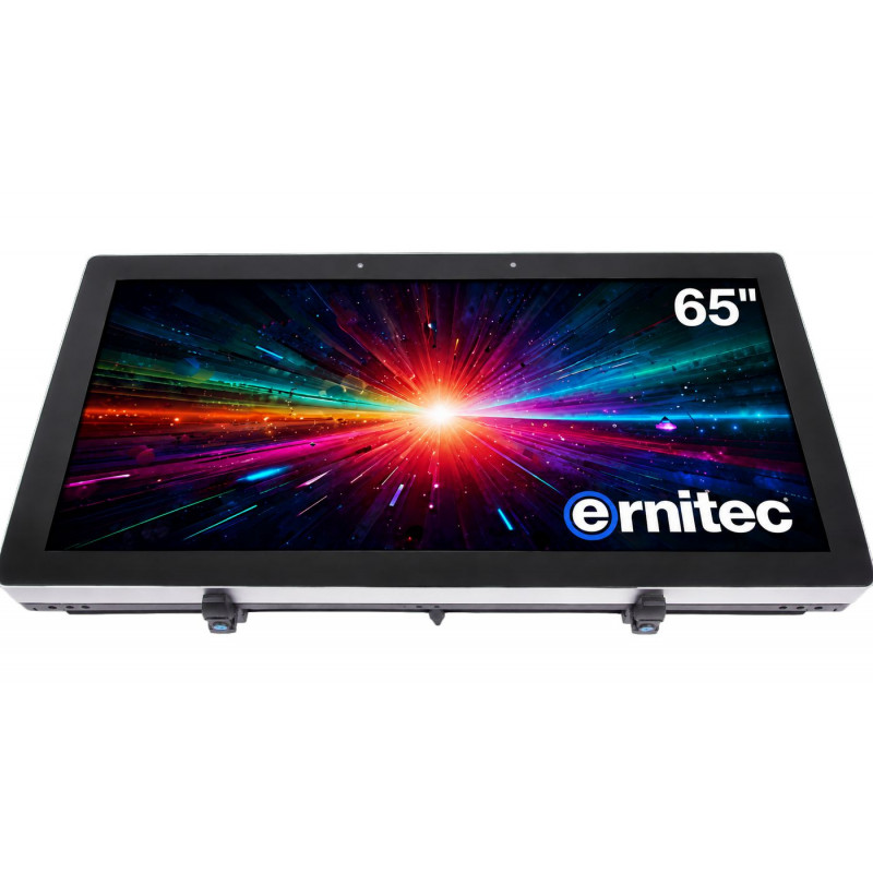 Monitor Ernitec 65 inch 24/7 4K UHD (0070-24165-HB3000-L)
