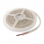 Taśma LED Synergy 21 Flex 3528 60, czerwona, 24 V DC, 24 W, IP68