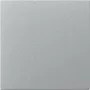 Klawisz GIRA 349626, prosty, System 55, kolor aluminium