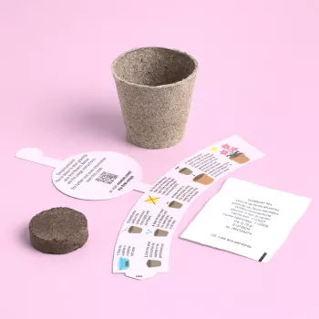 Resetea My First Crops – zestaw do uprawy kwiatów (Erst441)