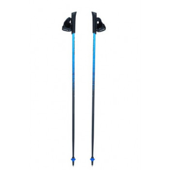 Kije do Nordic Walking Viking Pro-Trainer, niebieskie, 110 cm