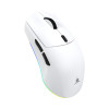 White Shark CADOR WGM-5020 mysz gamingowa, biała