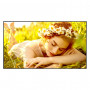 LG 55UL5Q-M 55-calowy wyświetlacz LCD, 3840 x 2160, 4K Ultra HD, 16:9