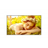 LG 55UL5Q-M 55-calowy wyświetlacz LCD, 3840 x 2160, 4K Ultra HD, 16:9