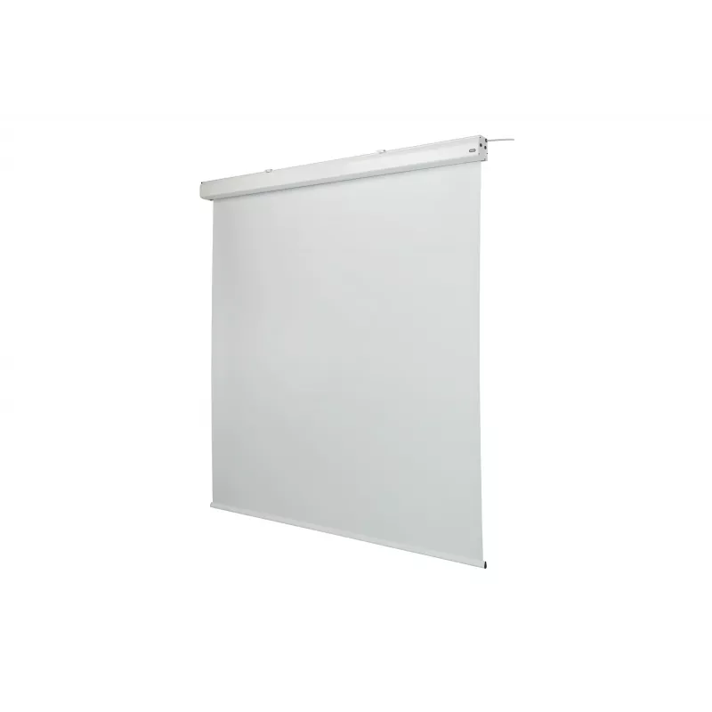celexon Expert ekran projekcyjny z napędem elektrycznym, 156" (396 cm), 230 V