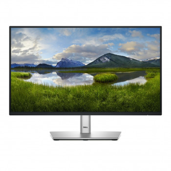 Dell Pro P2225H monitor (210-BMHD)