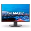 Sharp MultiSync EA241W monitor biznesowy IPS 24 cale, 1920x1200, czarny