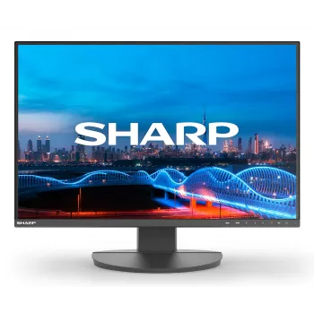 Sharp MultiSync EA241W monitor biznesowy IPS 24 cale, 1920x1200, czarny