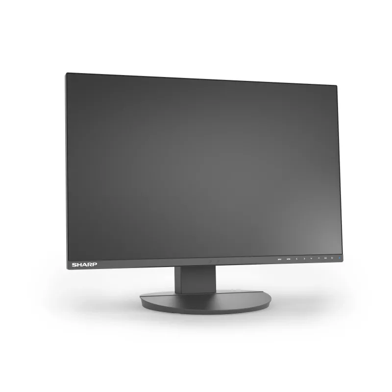Sharp MultiSync EA241W monitor biznesowy IPS 24 cale, 1920x1200, czarny