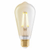 Osram SMART+ MATTER Filament Dimmable Classic Edison 53 824 inteligentna żarówka, złota, E27, 6 W, ciepła biel, Wi-Fi