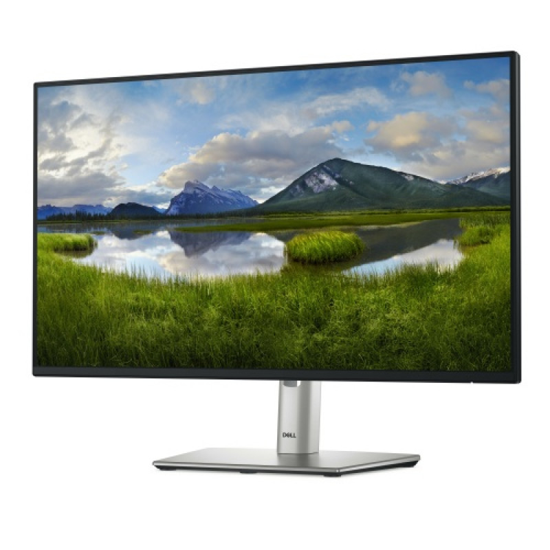 Monitor Dell Pro 24 Plus P2425HHF, 24 cale, IPS, FHD 1920x1080, 100 Hz, bez halogenów