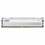 Moduł pamięci Klevv Fit V KD5AGU880-56K300Q DDR5-5600 CL30 16 GB