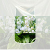Yankee Candle Clean Cotton zawieszka samochodowa