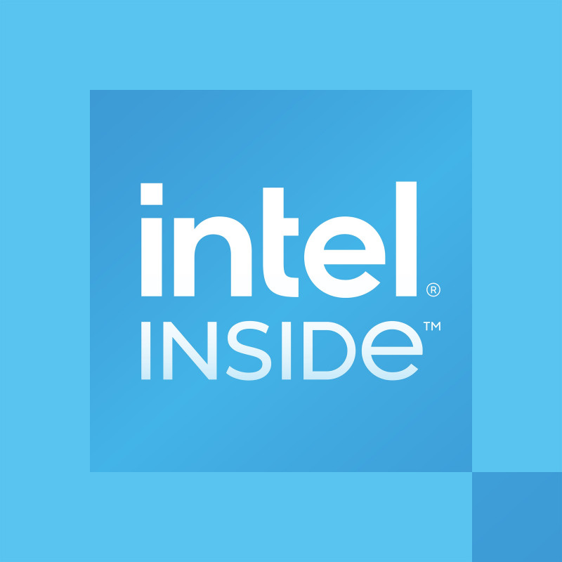 Intel Processor 300 do komputera stacjonarnego, 3,9 GHz, 2 rdzenie, 4 wątki, 6 MB pamięci podręcznej, FCLGA1700, OEM (CM8071505091904)
