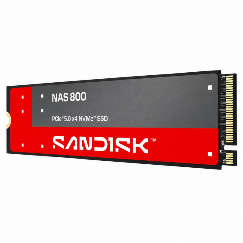 SanDisk NAS 800 1.92 TB M.2 2280 NVMe Gen 5 wewnętrzny dysk SSD (SDSNP2192TAN-000E0)