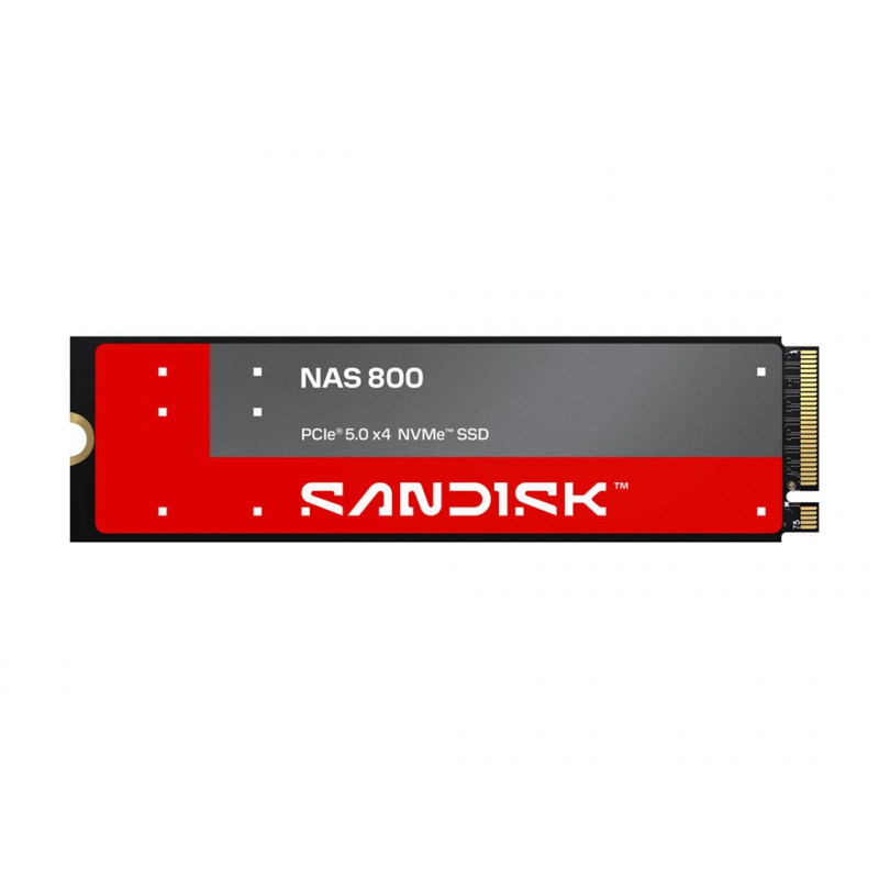SanDisk NAS 800 960 GB M.2 2280 NVMe Gen 5 wewnętrzny dysk SSD (SDSNP2960GAN-000E0)