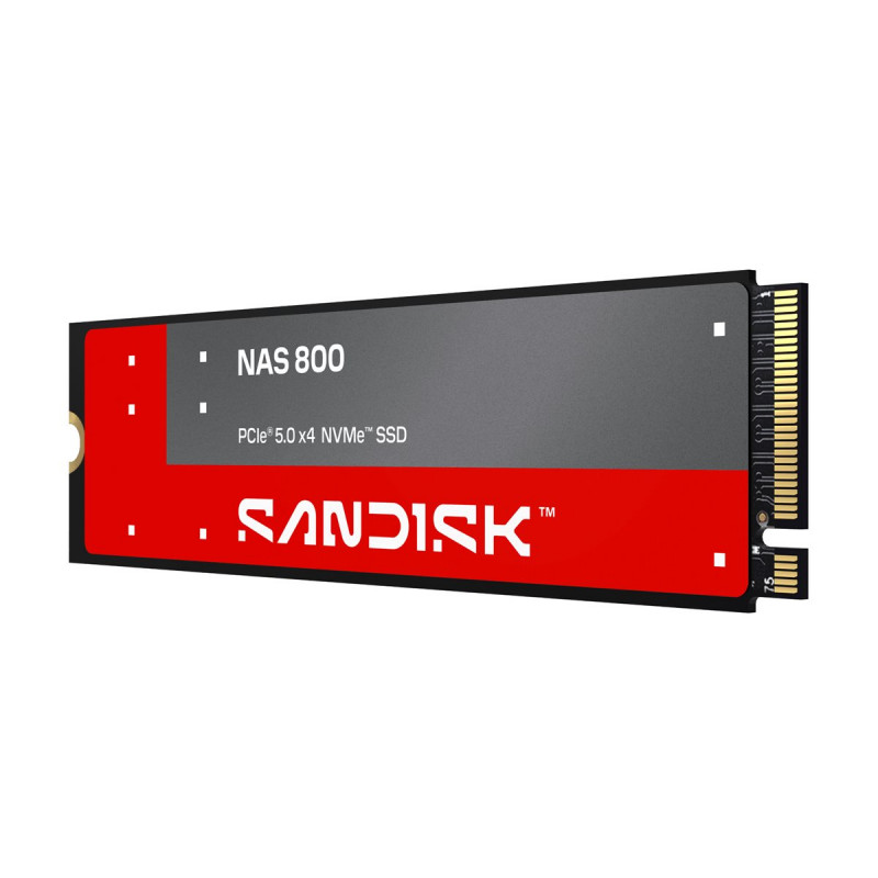 SanDisk NAS 800 960 GB M.2 2280 NVMe Gen 5 wewnętrzny dysk SSD (SDSNP2960GAN-000E0)
