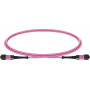 Lightwin MPO-12 światłowodowy kabel krosowy (patchcord) OM4, 12F, UPC gniazdo-gniazdo, Type B, 5 m, LSZH