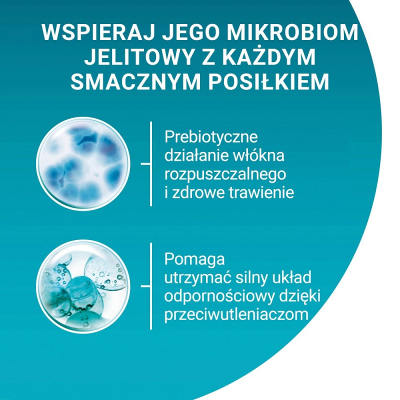 Purina ONE Sterilcat karma dla kotów, wołowina i marchewka, 60 x 85 g