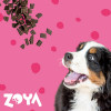 ZOYA ColdPRO Beef sucha karma dla psów, 1 kg