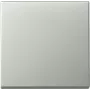 Gira 3296600 klawisz System 55, stal nierdzewna