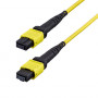 StarTech.com OS2MTP24BOFNP10M MTP/MPO-24 jednomodowy światłowodowy kabel krosowy (10 m), APC