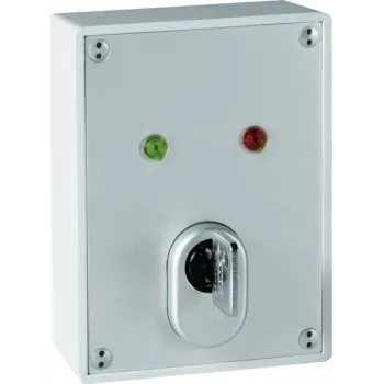 ABUS SE1010 Key Switch - 24V DC, 2 Changeover Contacts, IP54, Silver-grey