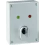 ABUS SE1010 Key Switch - 24V DC, 2 Changeover Contacts, IP54, Silver-grey
