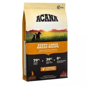 ACANA Dog Puppy Large Breed Recipe Sucha Karma 11,4kg
