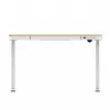 ACJ ACTIVEJET Biurko elektryczne z regulacją wysokości 120x60 ET119S White/Oak