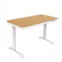 ACJ ACTIVEJET Biurko elektryczne z regulacją wysokości 120x60 ET119S White/Oak