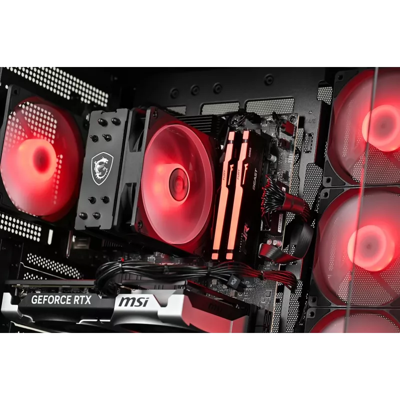 Actina Komputer stacjonarny AMD Ryzen 5 5600 16GB DDR4 500GB SSD NVIDIA GeForce RTX 5060 Windows 11 Home Midi Tower Czarny