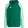 adidas Tiro 23 Competition Całoroczna kurtka męska zielona IC4570