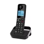 ALCATEL F860 EU DECT Telefon Bezprzewodowy z Automatyczną Sekretarką, Czarny ATL1423396