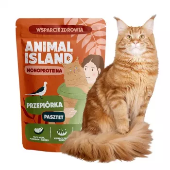 ANIMAL ISLAND Mono Quail Mokra Karma dla Kotów 100g