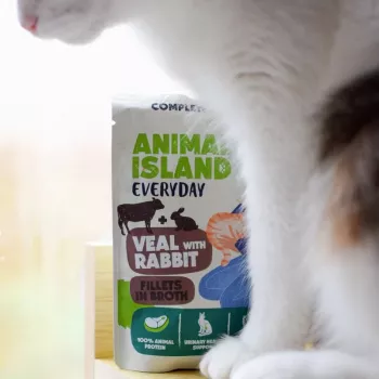 ANIMAL ISLAND Cielęcina / Królik i Indyk / Filety z Tuńczyka w Bulionie Mokra Karma dla Kotów, 4 x 85 g Saszetki, Bez Zbóż, Dla Dorosłych